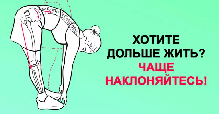 Хочешь жить дольше. Чаще наклоняйся