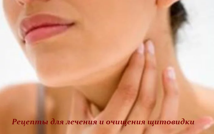 РЕЦЕПТЫ ДЛЯ ЛЕЧЕНИЯ И ОЧИЩЕНИЯ ЩИТОВИДКИ