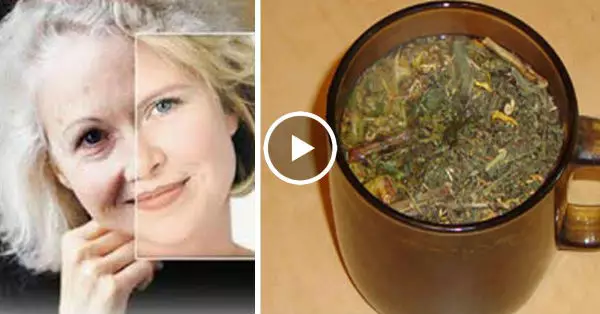 Рецепт для продления жизни, который был переведен на все языки мира