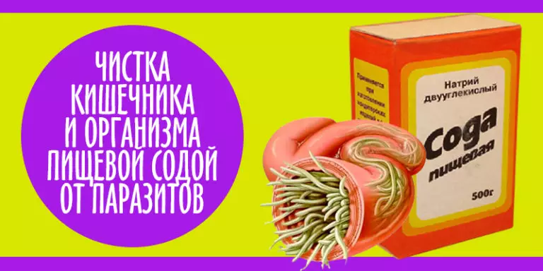 Глисты пулей «вылетят» за ночь. Народное средство за 1 рубль