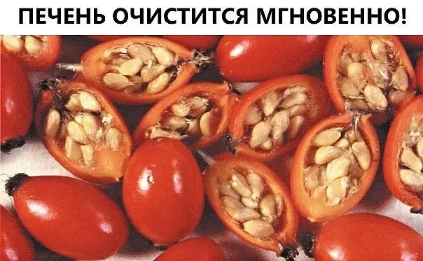 ПЕЧЕНЬ ОЧИСТИТСЯ МГНОВЕННО