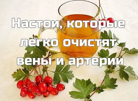Настои, которые легко очистят вены и артерии