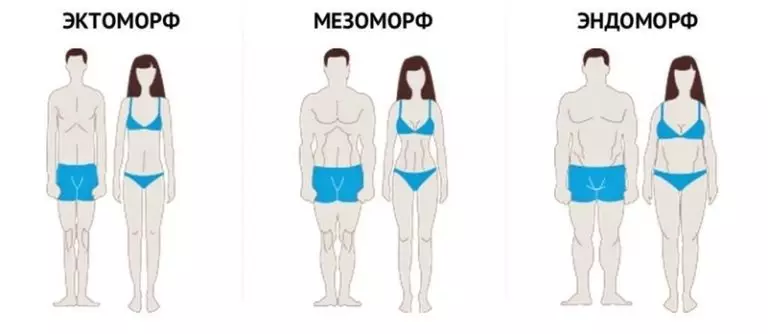Программы Тренировок Для Каждого Типа Телосложения