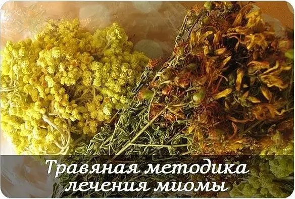 Травяная методика лечения миомы