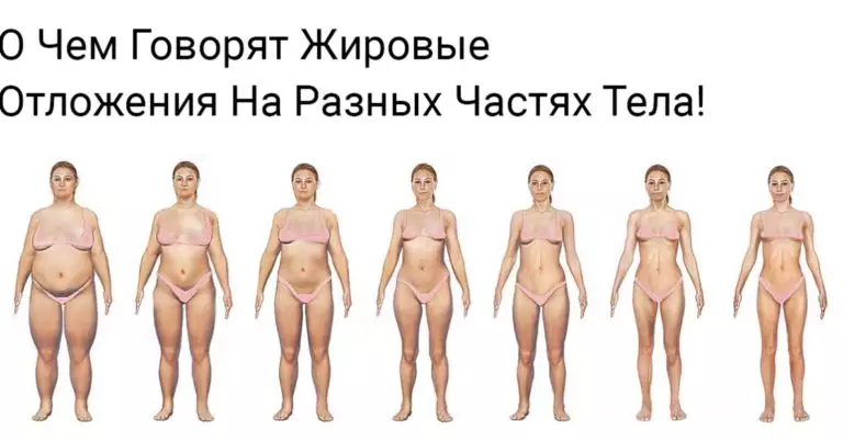 Внимание. Жировые Отложения