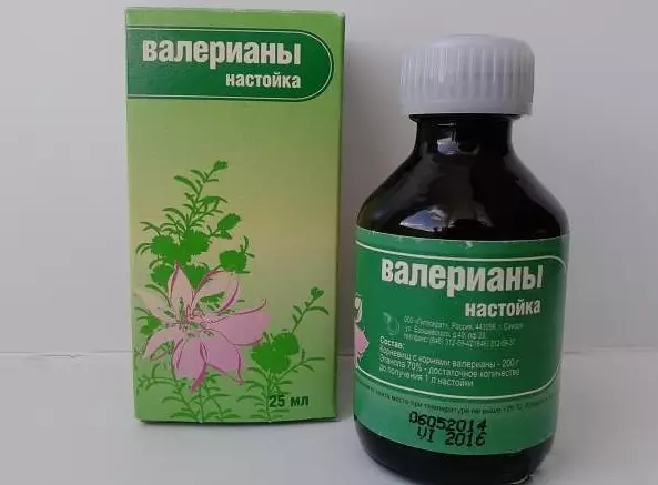 ЗАПАХ ВАЛЕРИАНЫ ОМОЛАЖИВАЕТ ОРГАНИЗМ