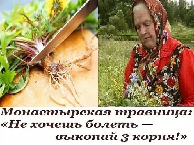 Монастырская травница: «Здоровым может быть каждый»