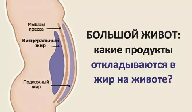Большой живот: какие продукты провоцируют образование жира вокруг талии