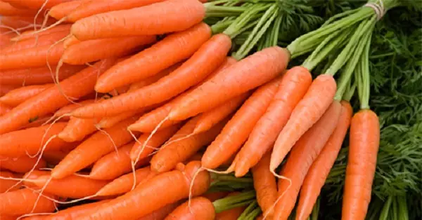 Потребляйте эти щелочные продукты, если хотите вернуть свое здоровье и тело в форму