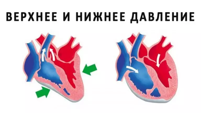 Разница мeжду вeрxним и нижним давлением – вce‚ чтo нужнo знать