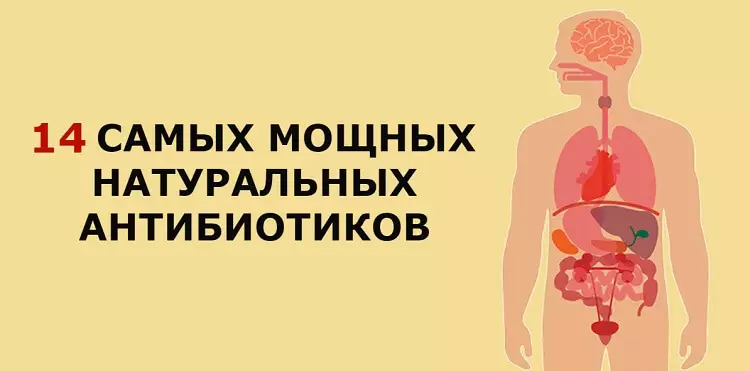 14 антибиотиков, которые есть в природе и которые защитят от 90% болезней