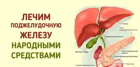 Лечение поджелудочной железы. То, чего не расскажет врач