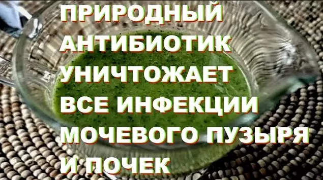 ПРИРОДНЫЙ СУПЕР АНТИБИОТИК УНИЧТОЖАЕТ ВСЕ ИНФЕКЦИИ МОЧЕВОГО ПУЗЫРЯ И ПОЧЕК ПОСЛЕ ПЕРВОГО ИСПОЛЬЗОВАНИЯ