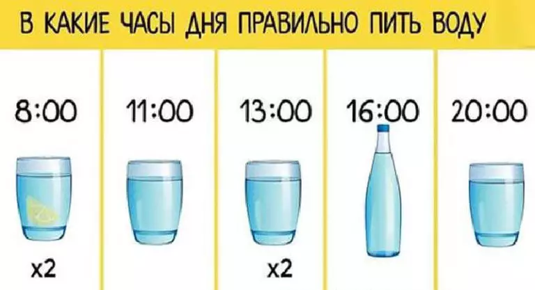 В какие часы дня следует правильно пить воду