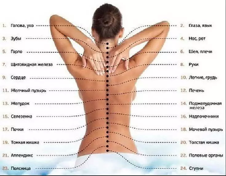 Позвоночник: от какого позвонка что болит. 5 упражнений для позвоночника, которые лечат все органы
