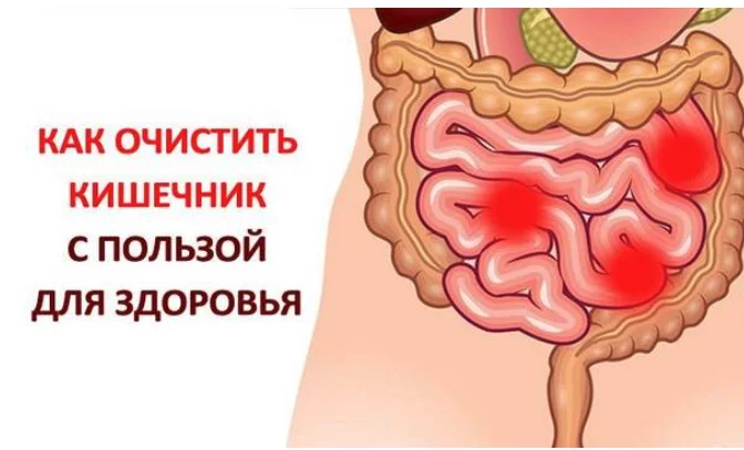 Как устранить килограммы токсинов из вашей толстой кишки — Рецепт