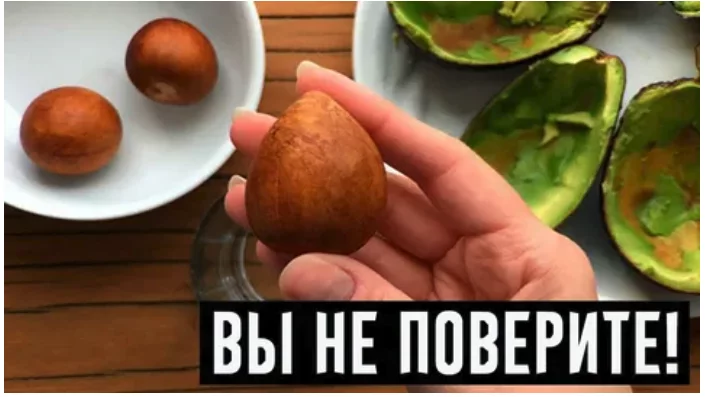 Всего 1 косточка, и почки свободны от камней. Старинный индийский рецепт
