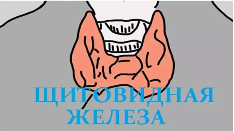 12 признаков того, что надо проверить щитовидную железу. Скрытый враг — гипотиреоз