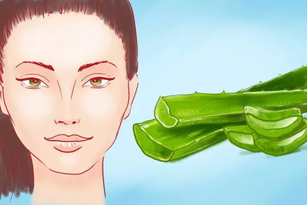 Это настоящая панацея для кожи лица. Алоэ справится с любыми дерматологическими проблемами