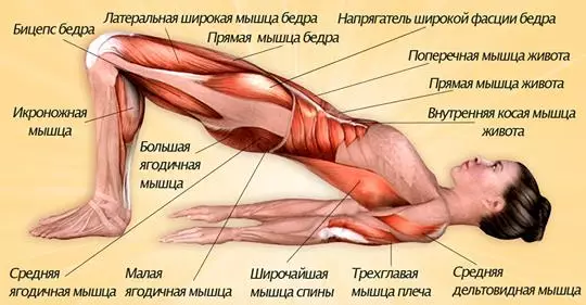 Каждая мышца работает, благодаря всего 3 упражнениям