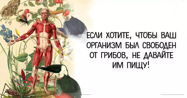 Если хотите, чтобы Ваш организм был свободен от грибов, не давайте им пищу