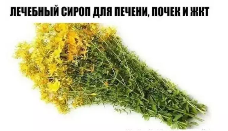 ЛЕЧЕБНЫЙ СИРОП ДЛЯ ПЕЧЕНИ, ПОЧЕК И ЖКТ