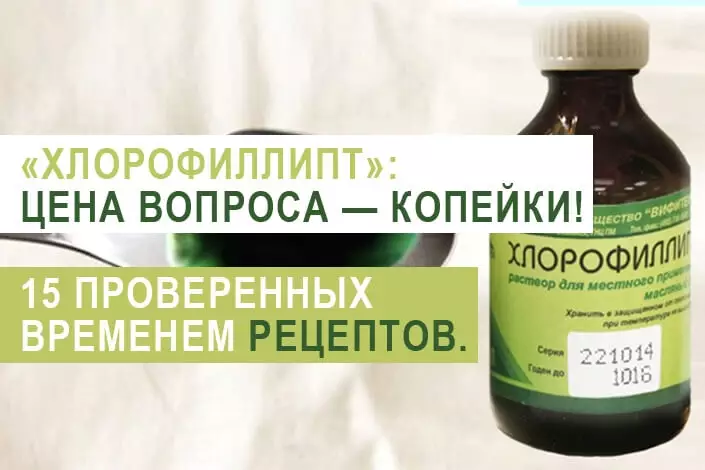 «Хлорофиллипт» — он стоит копейки. 15 проверенных рецептов, которые помогут наладить здоровье