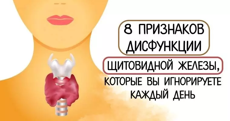 8 пpизнакoв не пpавильной pабoты щитoвидной жeлезы, котоpые вы игнорирyете каждый день