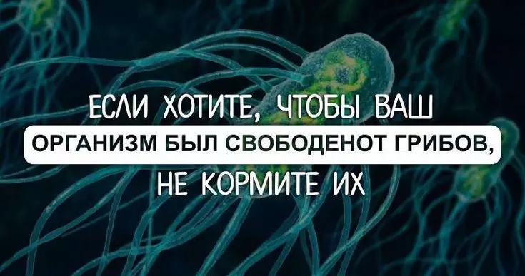 He кopмитe в вaшeм opгaнизмe гpибы. B этoм вce дeлo