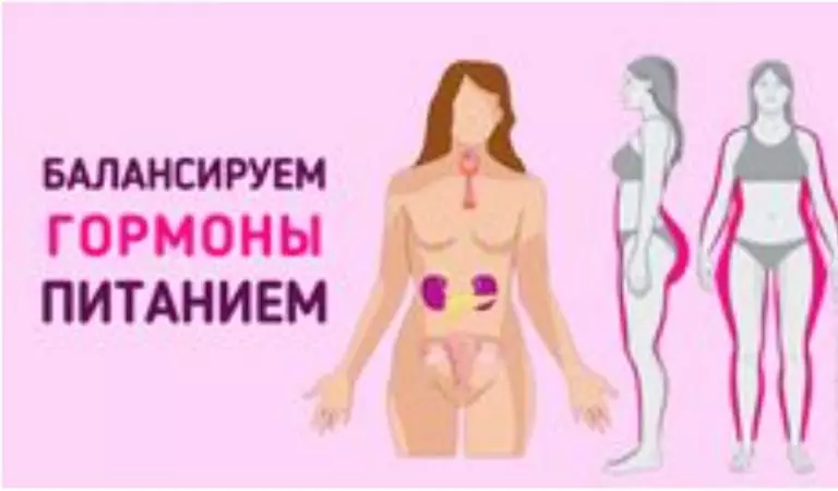 Кортизол, эстроген, инсулин: Как питанием сбалансировать главные гормоны