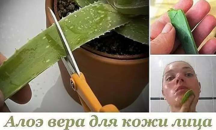 Она протерла лицо листом алоэ вера… То, что произошло через 15 минут, поразит каждого
