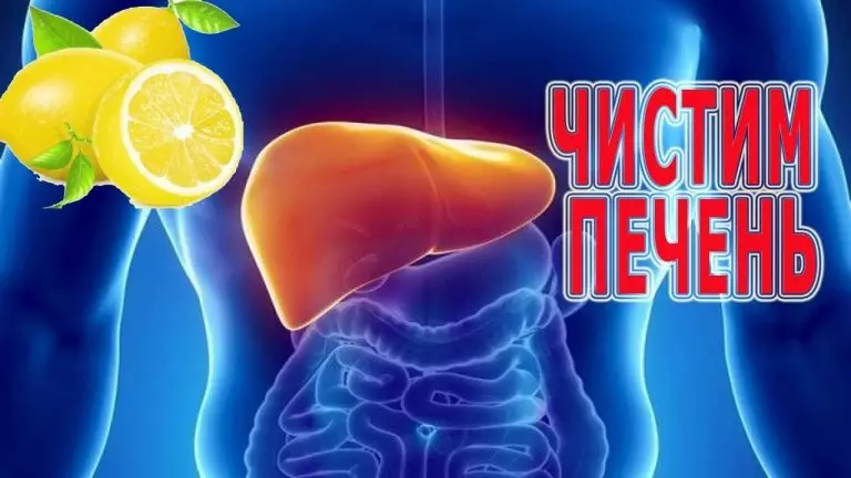6 ПОЛЕЗНЫХ СОВЕТОВ ДЛЯ ЧИСТКИ ПЕЧЕНИ