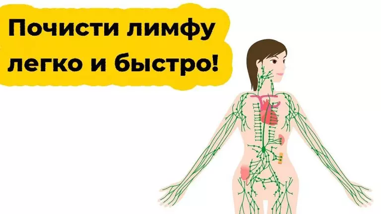 Ваша лимфа забита токсинами, если у вас есть эти 7 симптомов. Вот 10 способов очистки