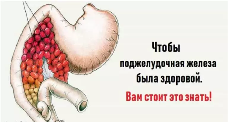 10 самых полезных для поджелудочной железы продуктов