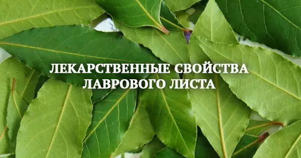 Волшебные свойства лаврового листа, о которых ты наверняка не знал