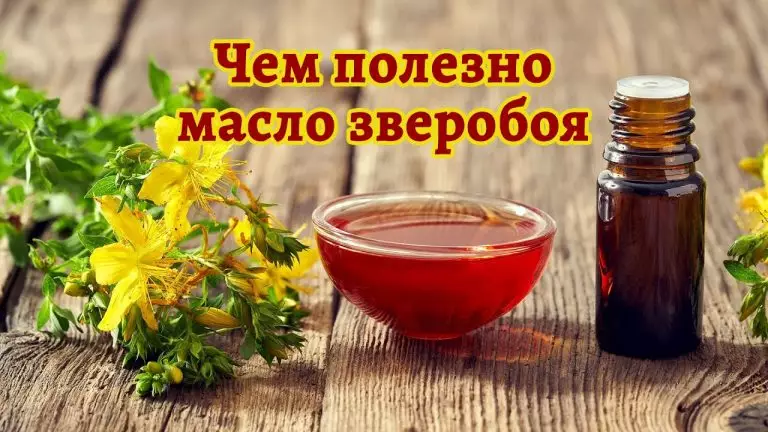 Бесценное зверобойное масло — сделайте сами и лечите всю семью