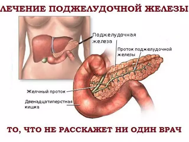 Лечение поджелудочной железы по рецепту профессора Макоха